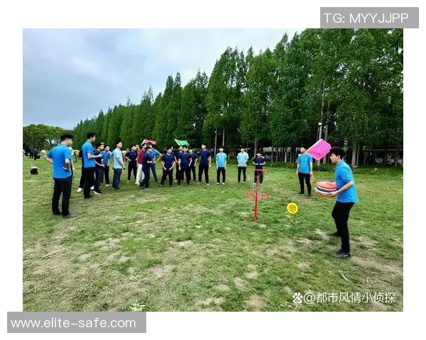 北京飞盘队的战术控制与团队协作解析